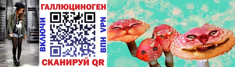 Купить где Москва Псилоцибиновые грибы GOLDEN TEACHER